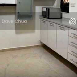 The Tanamera (D16), Condominium #462085711